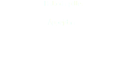 Halleda piller Åppejdna...